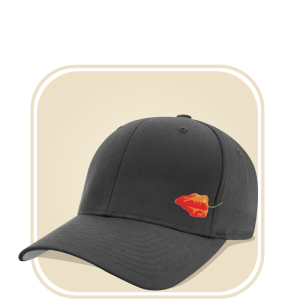 Hats from Horsetooth Hot Sauce in gray